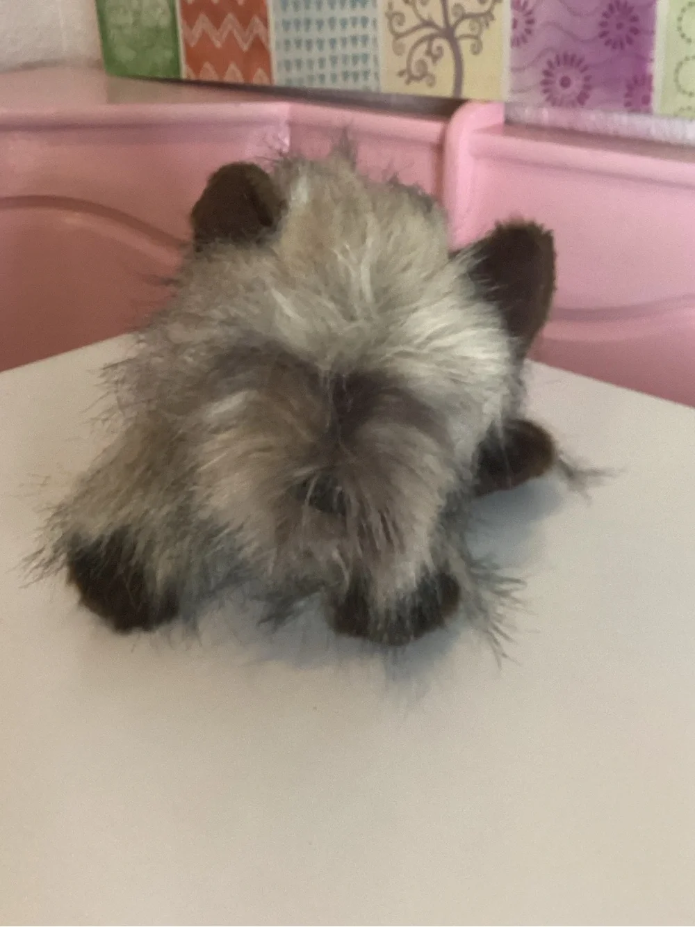 Cairn Terrier Dog 11” Plush Demdaco Realistic Fuzzy Fur Nath & Jules